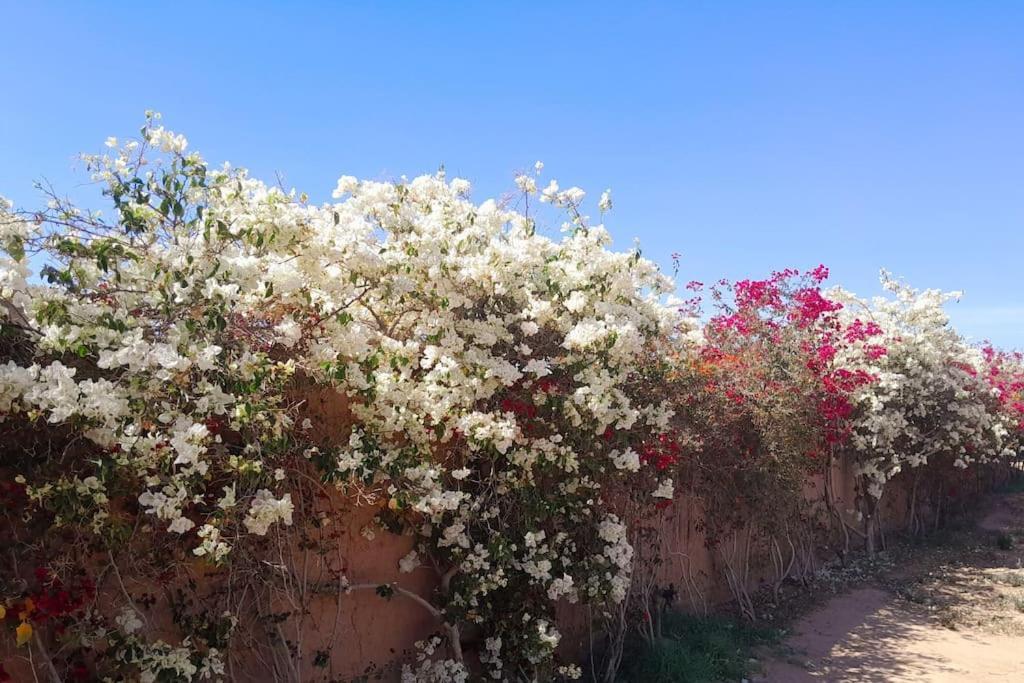 Villa Agora, Villa A La Campagne Proche Marrakech Sidi Abdallah Ghiat Exterior foto